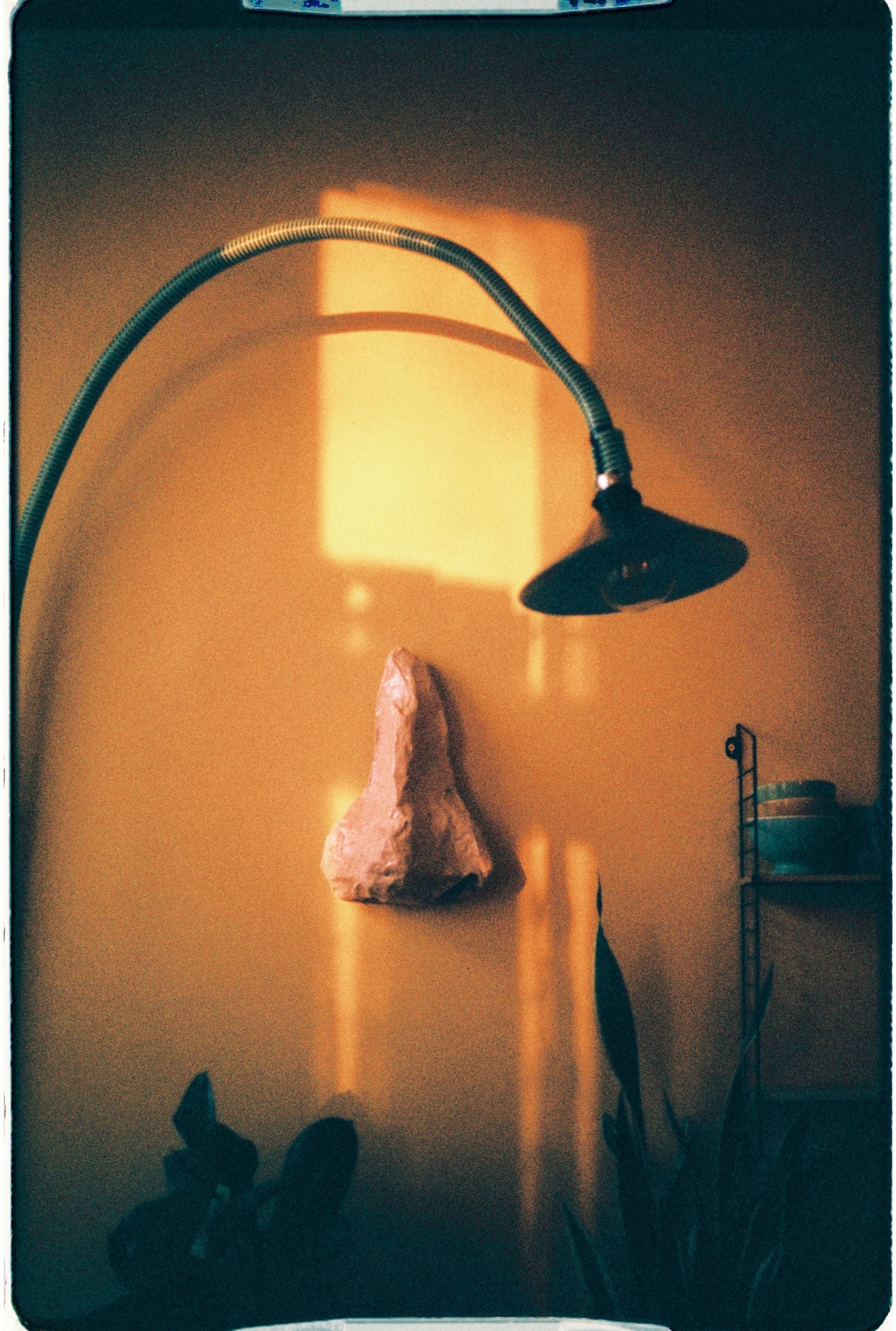 Harman Phoenix 200 C41 Pellicule 35mm - Image 3