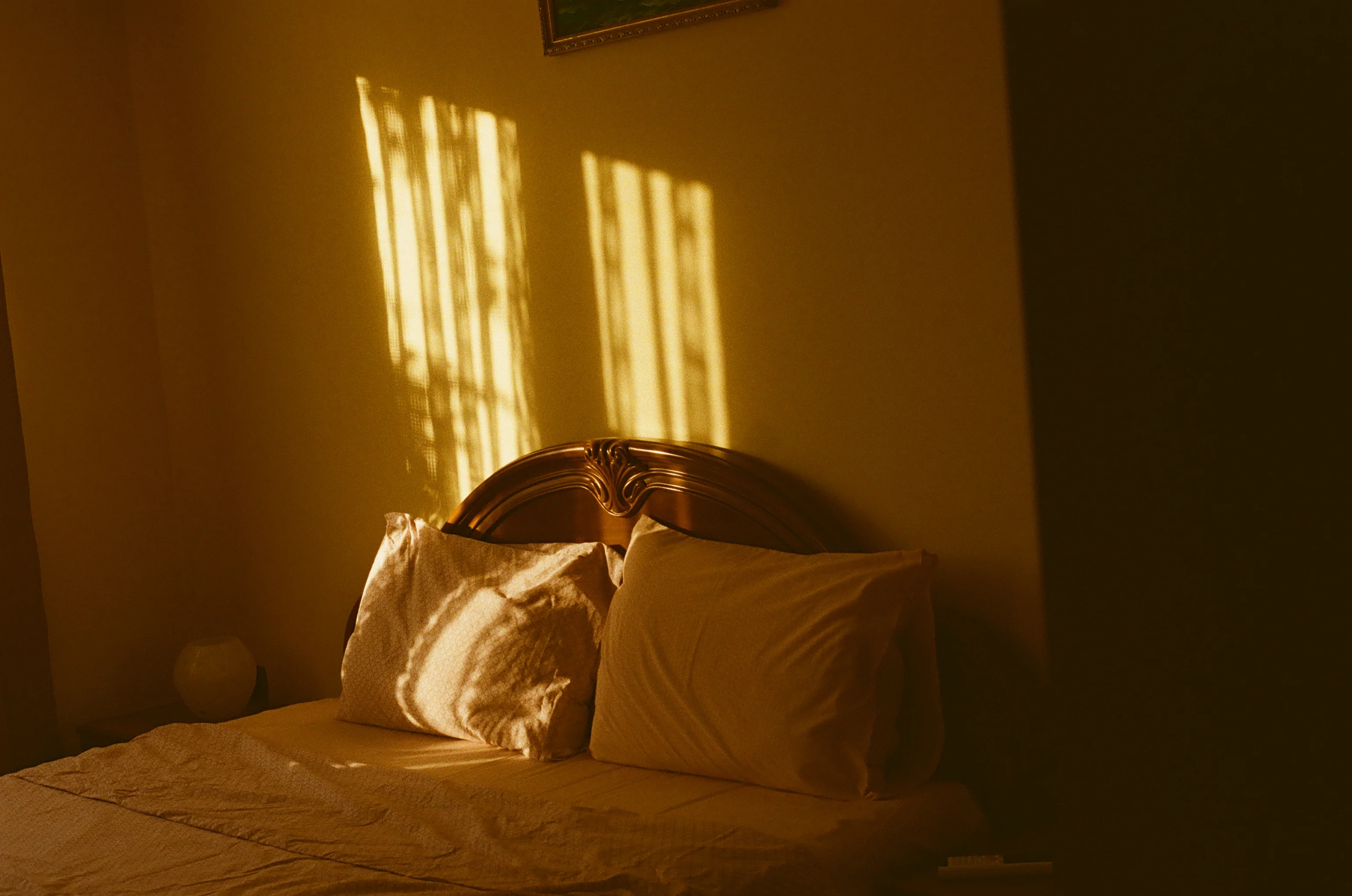 FilmNeverDie Sora 200 Pellicule 35mm - Image 6