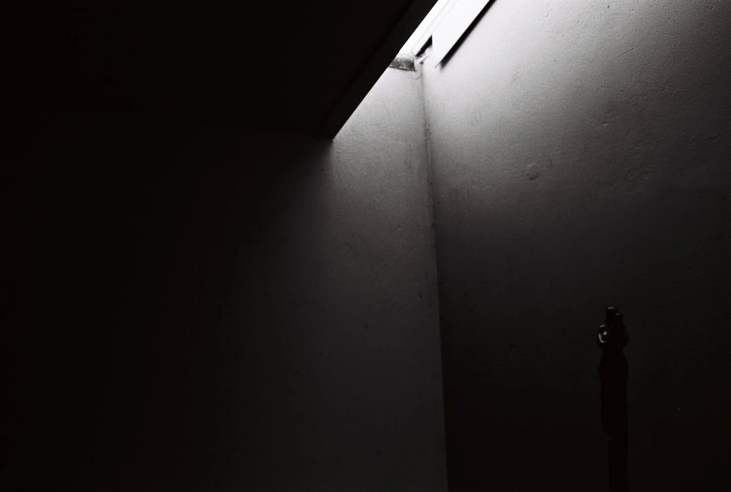 FilmNeverDie Yoru 400 pellicule 35 N&B - Image 8