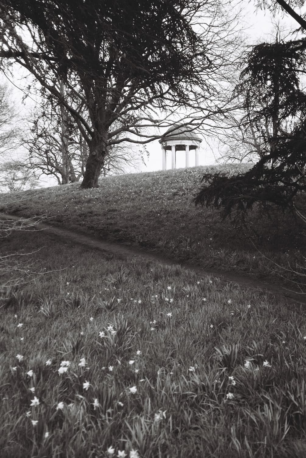 Ilford Delta 100 B&W Pellicule 35mm - Image 2