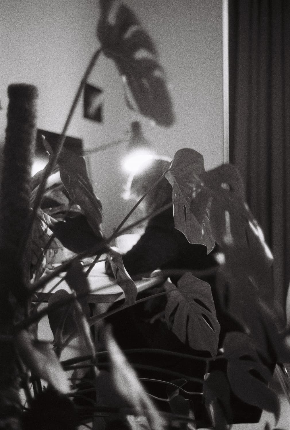 Ilford Delta 3200 N&B Pellicule 35mm - Image 3