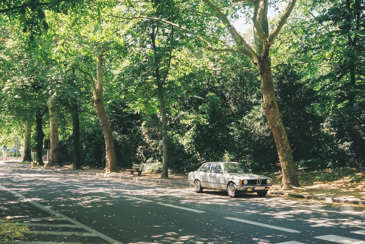 Kodak Colorplus 200 Pellicule 35mm - Image 3