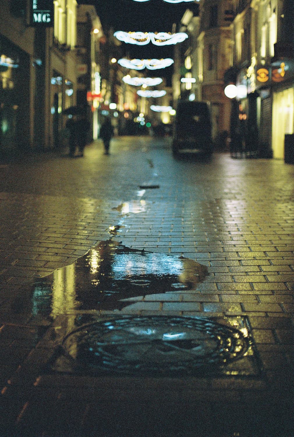 Kodak Portra 800 Pellicule 35mm Couleur - Image 4