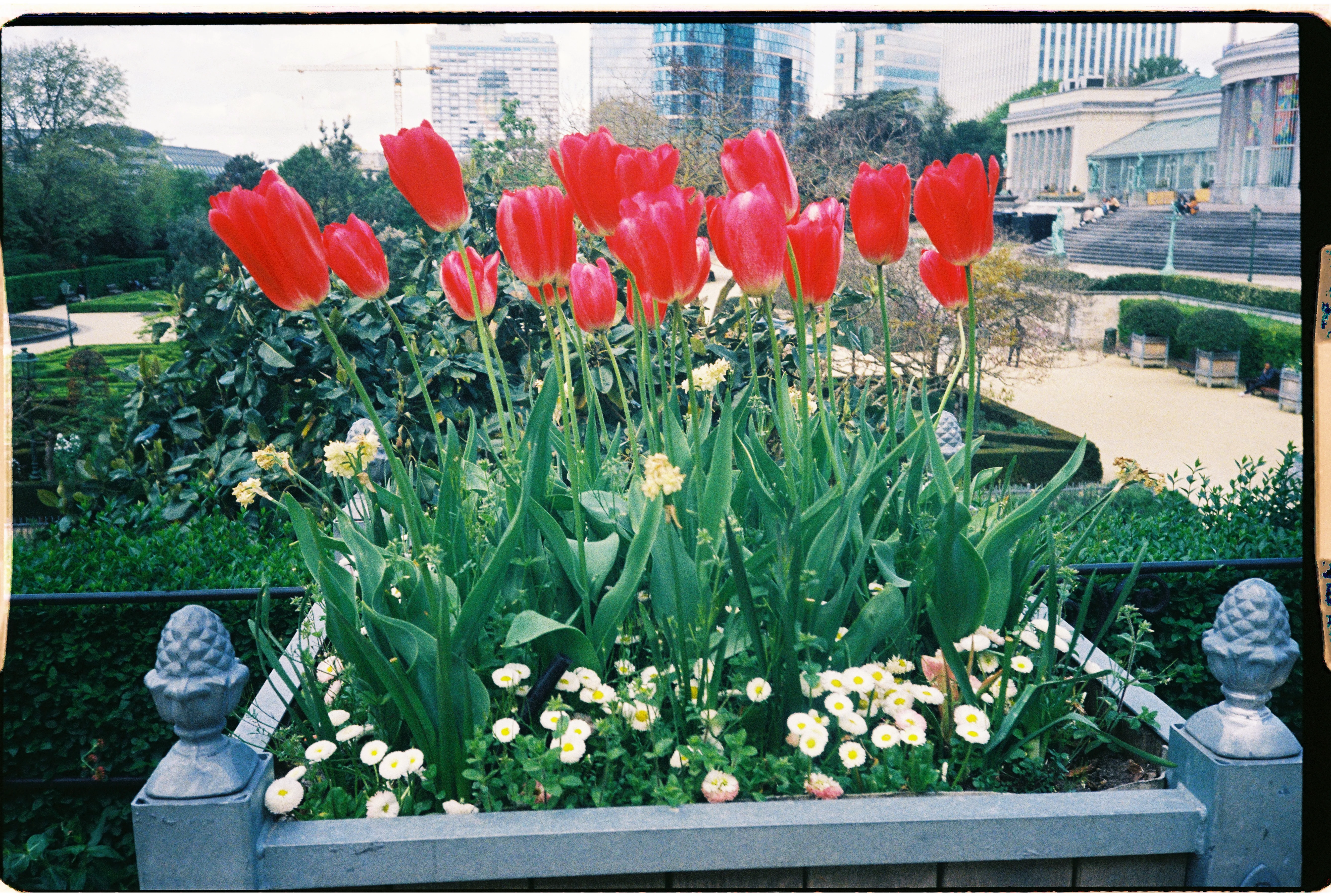 Kodak Ultramax 400 Pellicule 35mm simple pellicules - Image 3