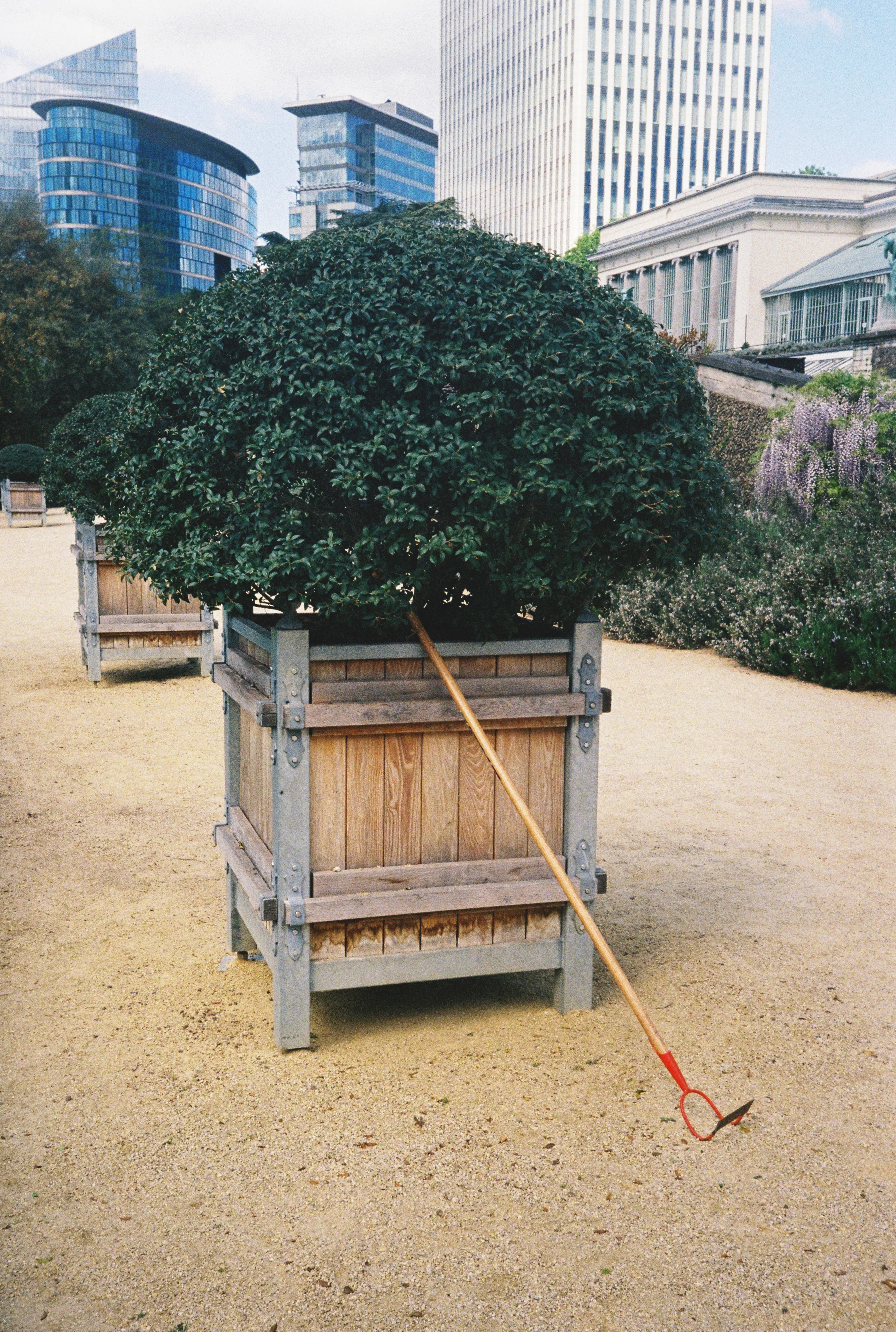 Kodak Ultramax 400 Pellicule 35mm simple pellicules - Image 4