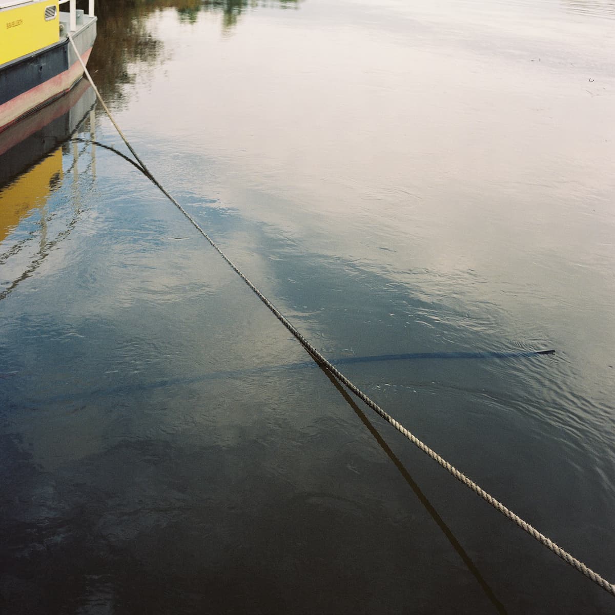 Lomography Colour 800 pellicule 120 - Image 3
