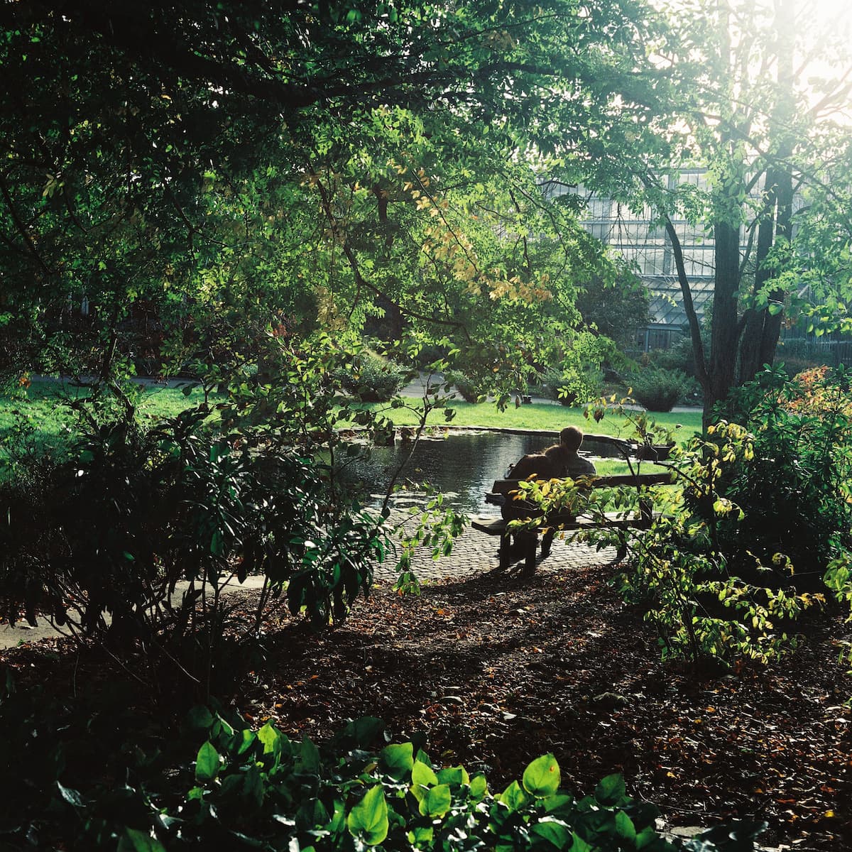 Lomography Colour 800 pellicule 120 - Image 4