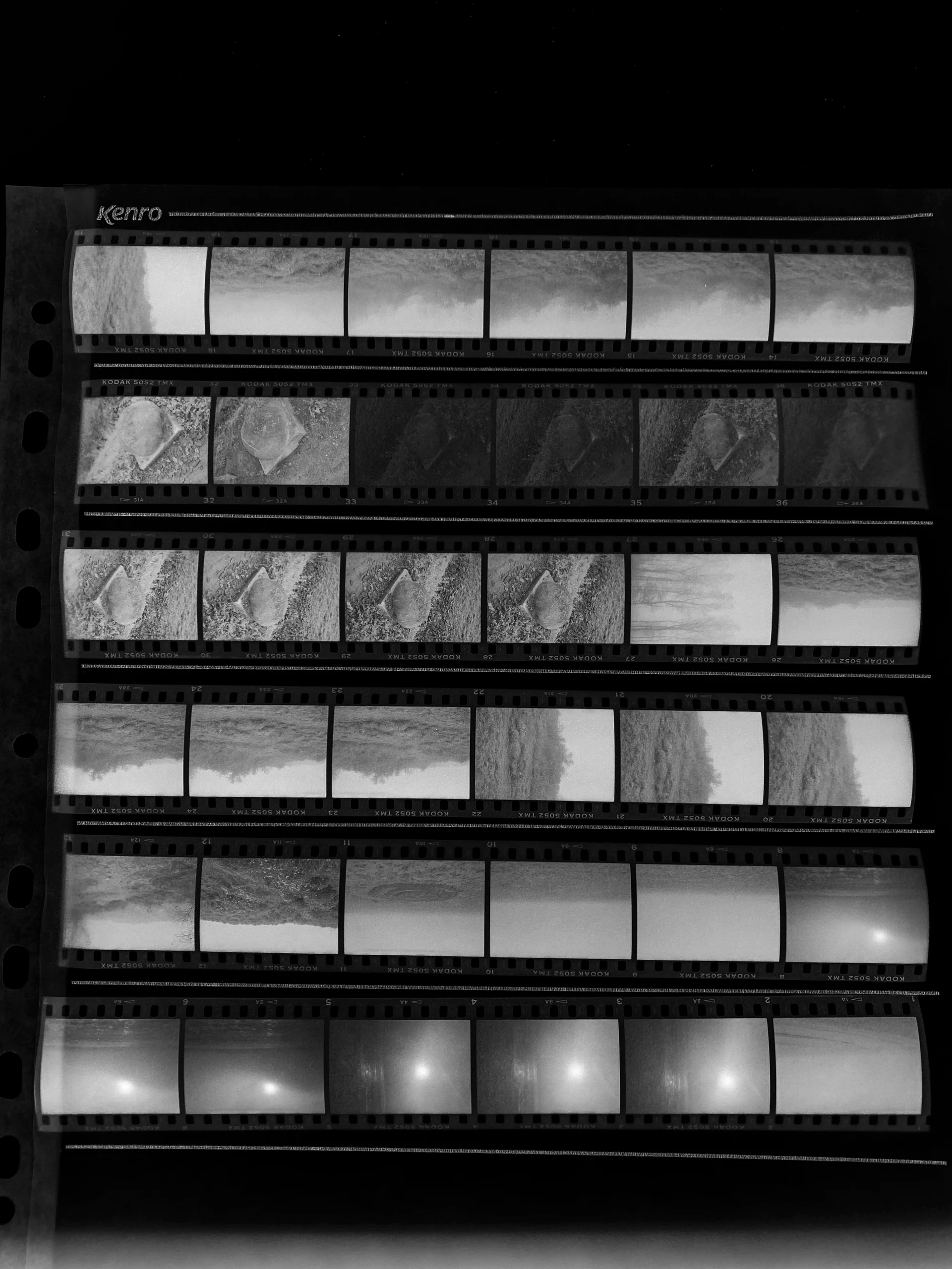 Atelier de développement de films biologiques - Image 4